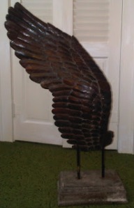 Nita's angel wing[1]